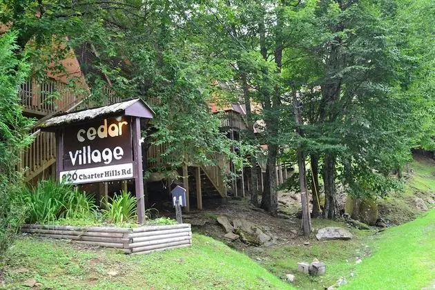 Cedar Village - Dış Mekan