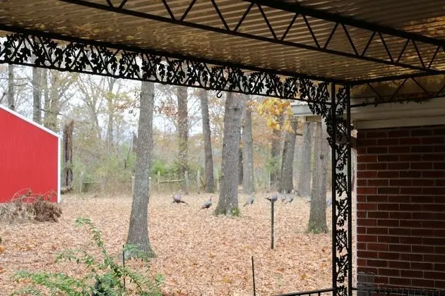 Cedar Grove Inn - Dış Mekan
