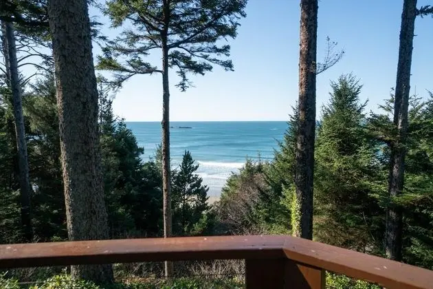 The Cedar House