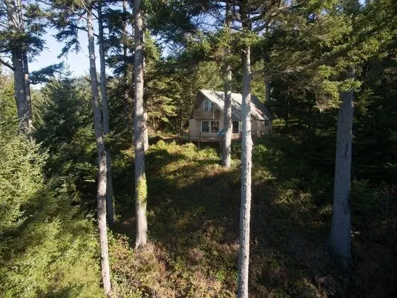 The Cedar House - Dış Mekan