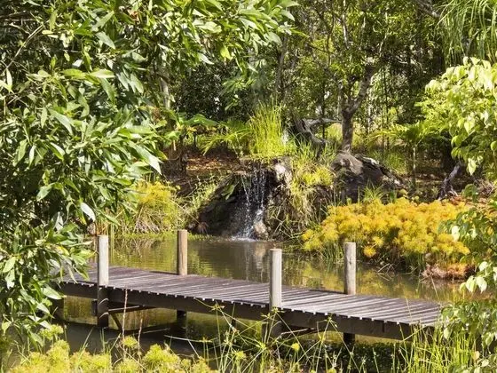 Cedar Park Rainforest Resort - 1