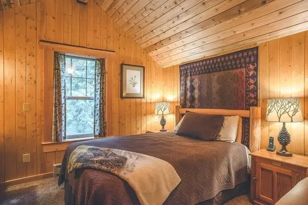 Cedar Springs Cabin - Oda