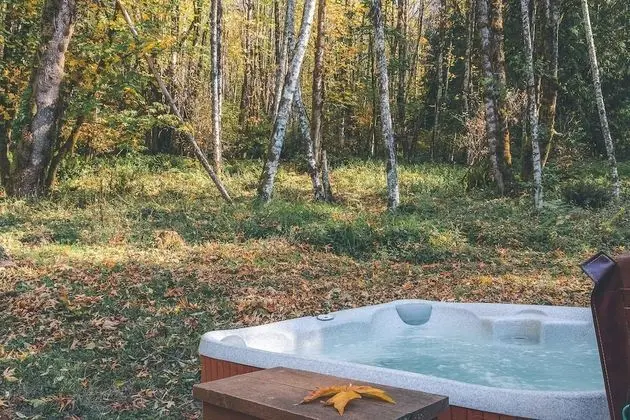 Cedar Springs Cabin - Spa