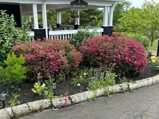 Ceilidh Country Lodge - Lobi