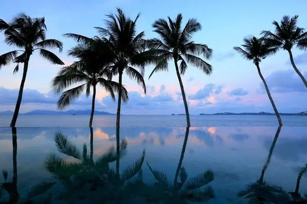 Celes Samui - Havuz