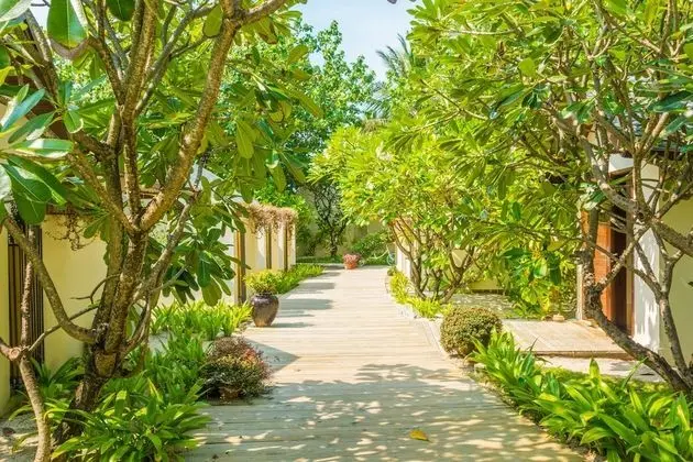 Centara Ras Fushi Resort & Spa Maldives - Dış Mekan