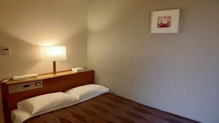 Center Hotel Narita 1 - Öne Çıkan Resim