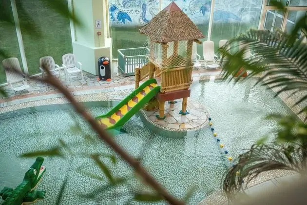 Center Parcs Park de Haan - Havuz