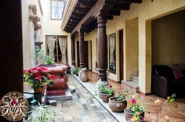 Central Bougainvillea - İç Mekan