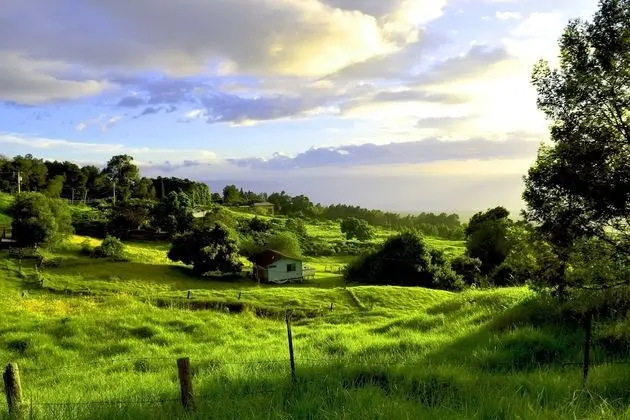Central Maui Hostel - Dış Mekan