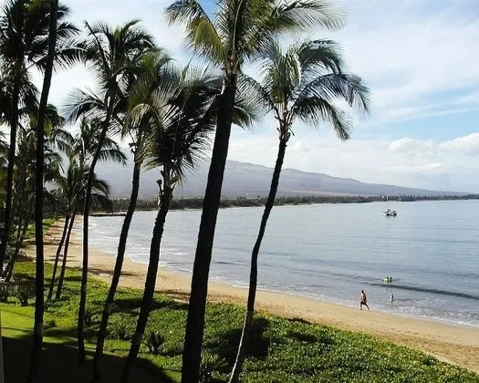 Central Maui Hostel - Plaj