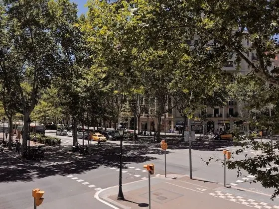 Central Park II