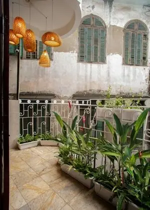 Centraltique Hidden Oasis - Dış Mekan