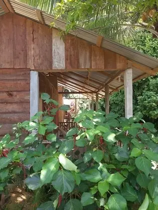 Centro Ecoturistico Yaajche