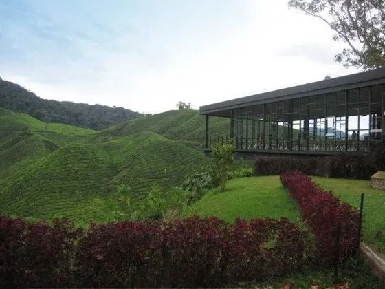 Century Pines Resort Hotel, Cameron Highlands - Yeme / İçme