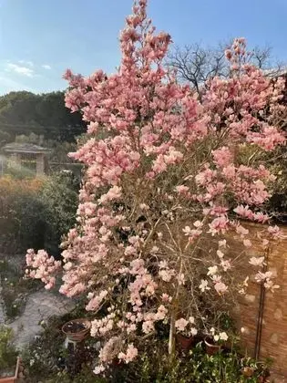 C'era una volta B&B - Genel