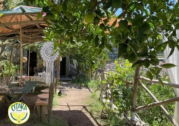 Cetara Camping Amalfitan Coast - Yerinde Yemek