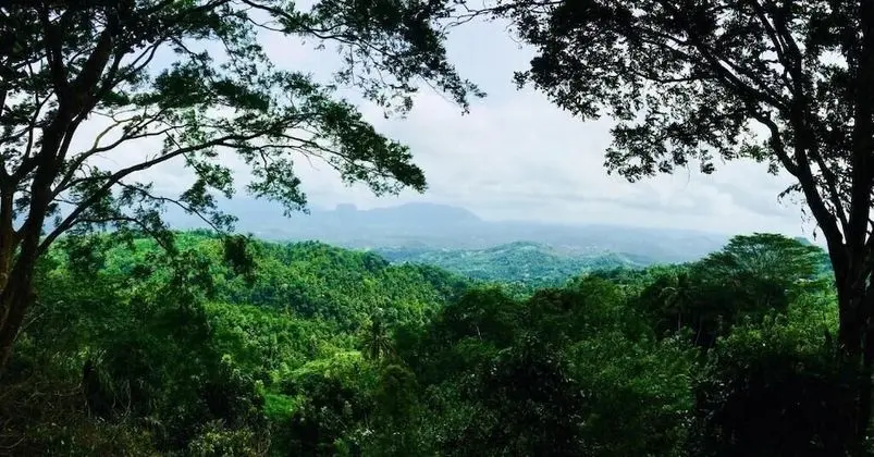 Ceylon Saradiel