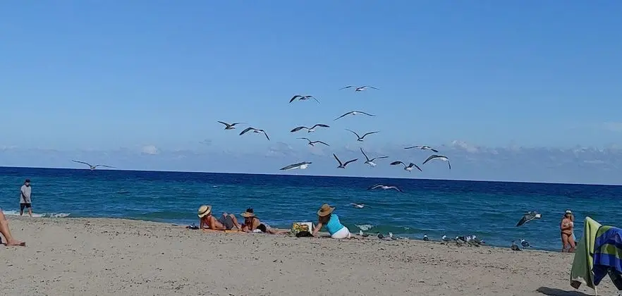 CH Luxury Condos & Studios On The Beach - Plaj
