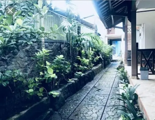 Cha-Cha Homestay - Dış Mekanlar