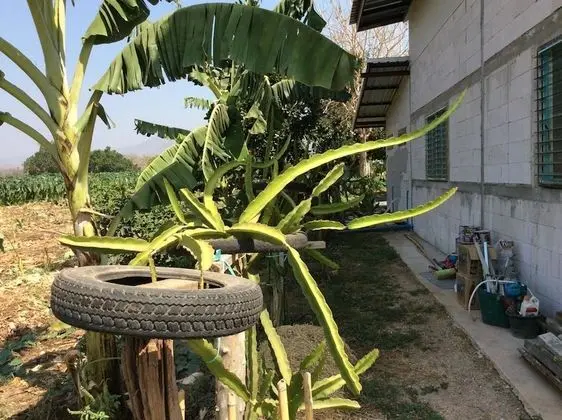 Chaleena Homestay - Dış Mekan