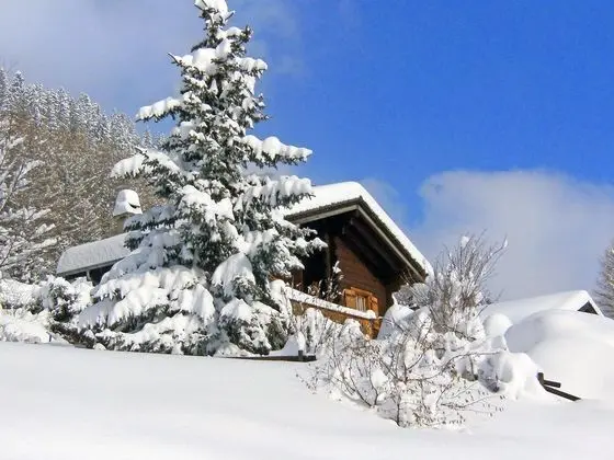 Chalet 1005 Mol Son-sur-gruy res - Oda