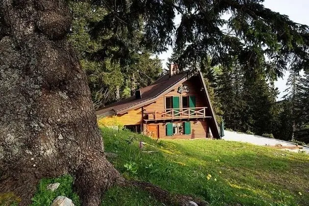 Chalet Alpinka - Dış Mekan