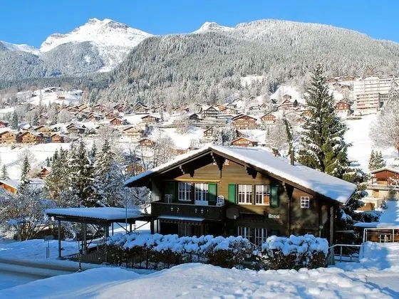 Chalet Anna Grindelwald - Oda
