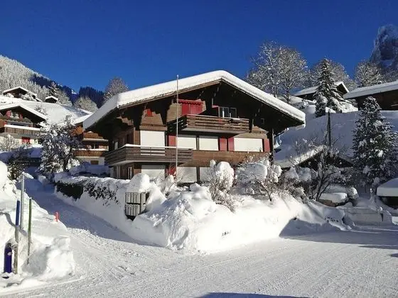 Chalet Bergfink Grindelwald - Oda