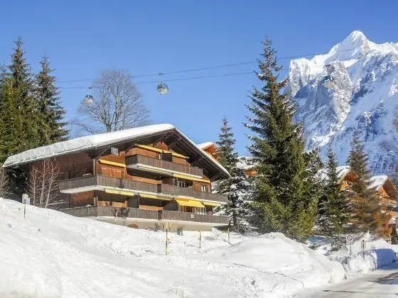 Chalet Bodmisunne Grindelwald - Oda