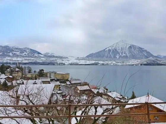 Chalet Christina Merligen - Oda