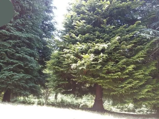 Chalet Du Lac - Dış Mekan