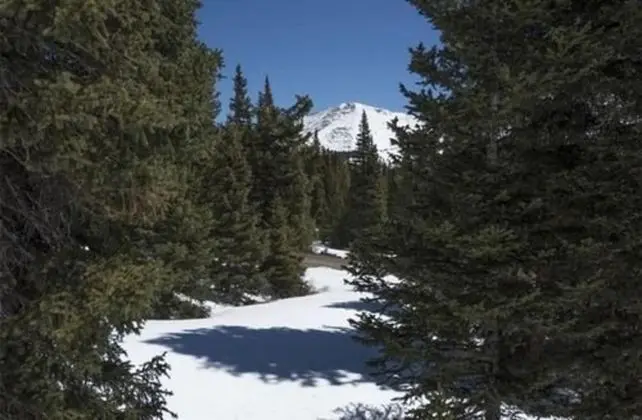 Chalet Elevation - Dış Mekan