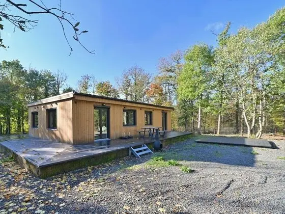 Chalet Ideally Located on the Edge of a Large Forest 10 km From Durbuy