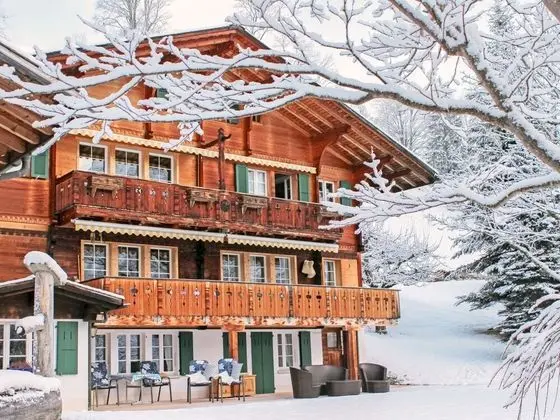Chalet Jrene Grindelwald - Oda