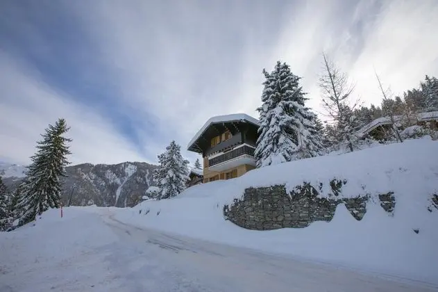 Chalet Les Esserts