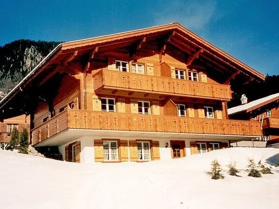 Chalet Mittelhorn Grindelwald - Oda