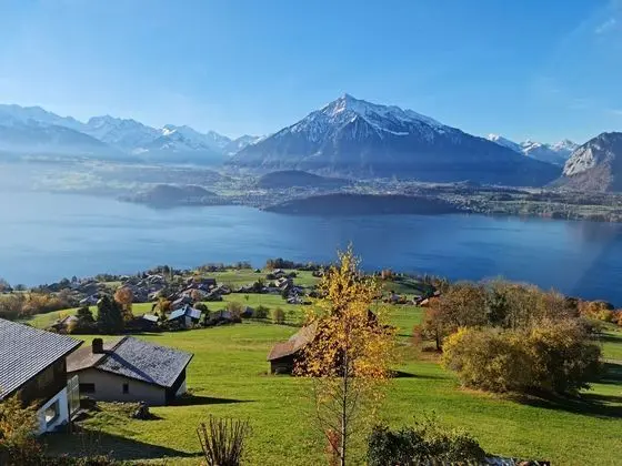 Chalet With Panoramic Views of the Mountains of the Oberland and Lake Thun - Genel
