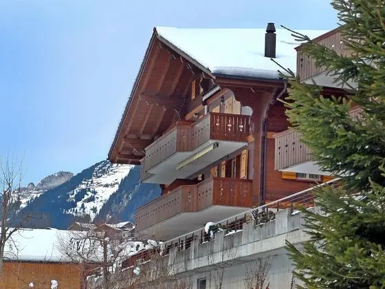 Chalet Perle Grindelwald - Oda