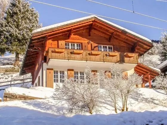 Chalet Reinhysi Grindelwald - Oda