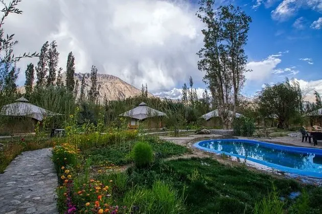 Chalet Seabuckthorn