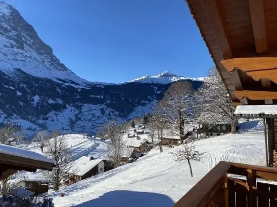 Chalet Snowflake Grindelwald - Oda