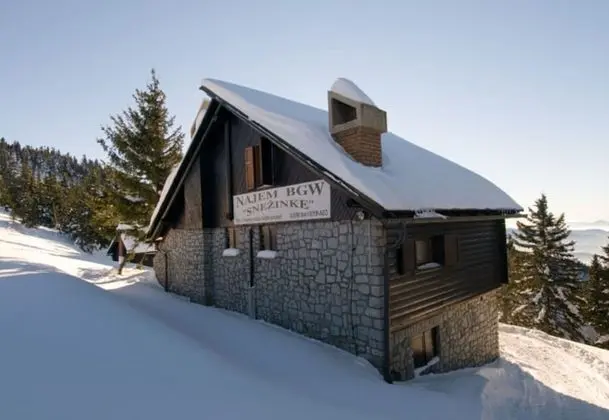 Chalet Snowflake IIb 20m From Ski Trail