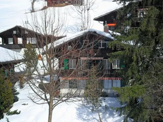 Chalet Spassvogel Grindelwald - Oda