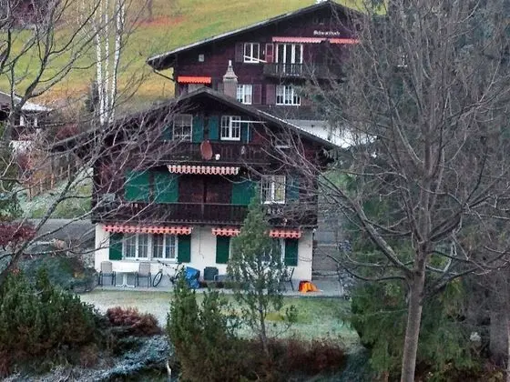 Chalet Spassvogel Grindelwald - Oda
