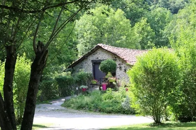 Chalets Bois Moulin de Chaules - 1