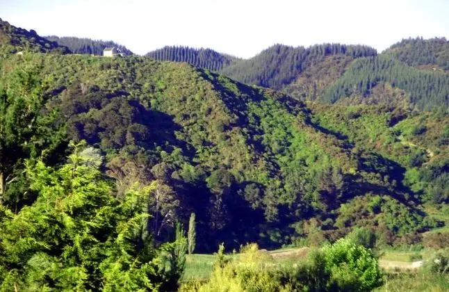 Chalets@Terraced Gardens