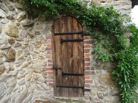 Chambre d'hôte le Mas du Galibot - Dış Mekan