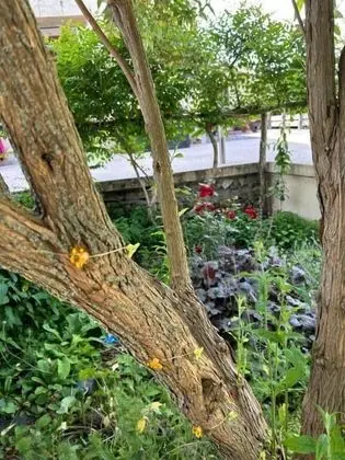 Chambre d'Hôte Pivoine - Dış Mekan