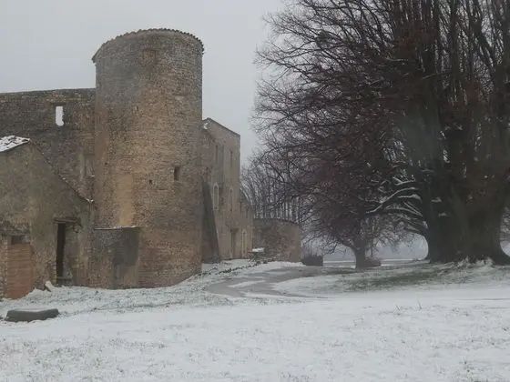 Chambre d'hôtes Chateau de la Gabelle - Dış Mekan